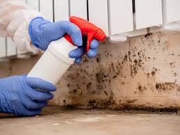 Trusted Caldwell, OH Mold Removal Services Experts